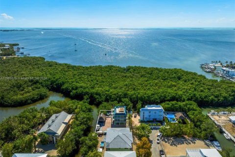 Villa ou maison à vendre à Key Largo, Floride: 4 chambres, 164.99 m2 № 1181601 - photo 3