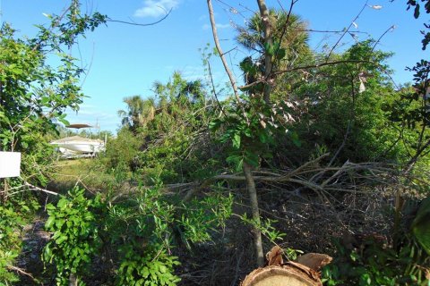 Land in Port Charlotte, Florida № 943132 - photo 4
