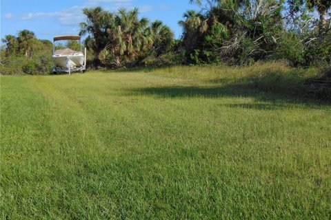 Купить земельный участок в Порт-Шарлотт, Флорида № 943132 - фото 1