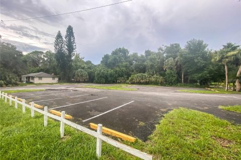 Terreno en venta en Eustis, Florida № 1432838 - foto 6