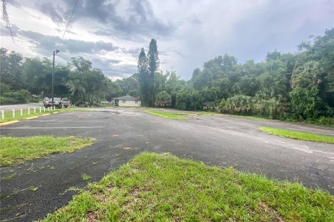 Terreno en venta en Eustis, Florida № 1432838 - foto 5