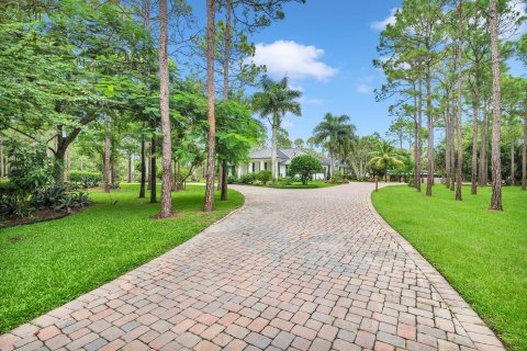 Villa ou maison à vendre à Palm Beach Gardens, Floride: 4 chambres, 325.16 m2 № 786098 - photo 3