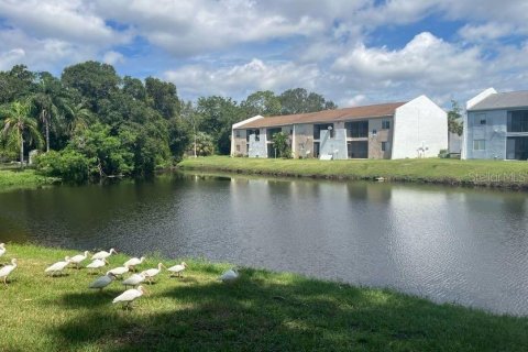 Condo in Largo, Florida, 1 bedroom  № 1379653 - photo 20