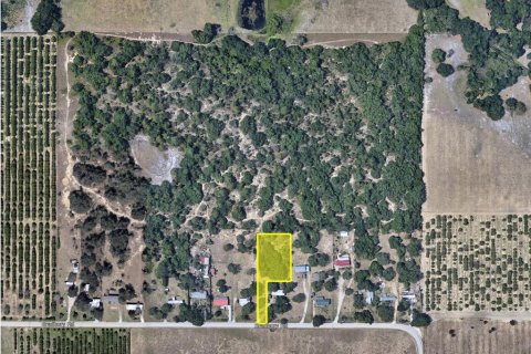 Land in Haines City, Florida № 1361152 - photo 1