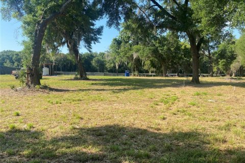 Land in DeLand, Florida № 1297757 - photo 2