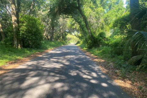 Land in DeLand, Florida № 1297757 - photo 1