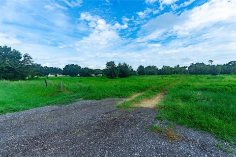 Land in Webster, Florida № 1338026 - photo 11