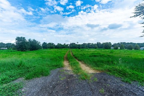 Terreno en venta en Webster, Florida № 1338026 - foto 12