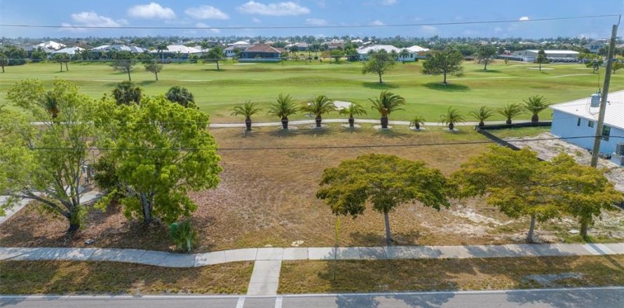 Terrain à Punta Gorda, Floride № 1194497