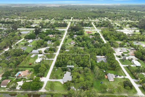 Купить земельный участок в Локсахатчи-Гроувс, Флорида № 648571 - фото 1