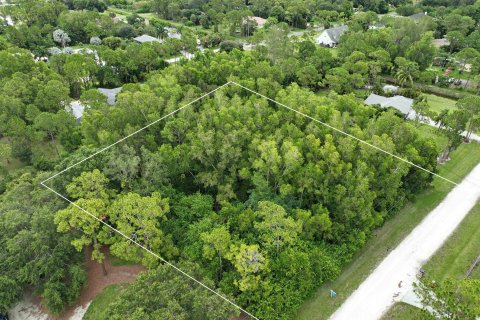Купить земельный участок в Локсахатчи-Гроувс, Флорида № 648571 - фото 10