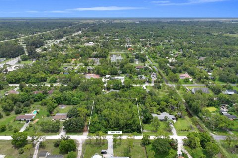 Купить земельный участок в Локсахатчи-Гроувс, Флорида № 648571 - фото 13