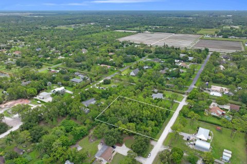 Купить земельный участок в Локсахатчи-Гроувс, Флорида № 648571 - фото 3