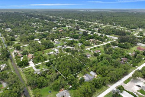 Купить земельный участок в Локсахатчи-Гроувс, Флорида № 648571 - фото 2
