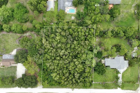 Купить земельный участок в Локсахатчи-Гроувс, Флорида № 648571 - фото 9