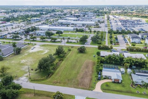 Land in Punta Gorda, Florida № 1355786 - photo 19