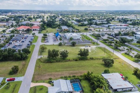 Land in Punta Gorda, Florida № 1355786 - photo 21