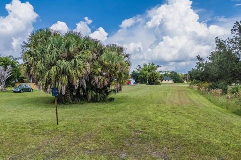 Terrain à vendre à Punta Gorda, Floride № 1355786 - photo 6