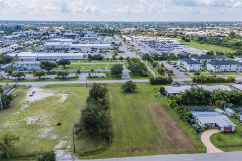 Land in Punta Gorda, Florida № 1355786 - photo 16