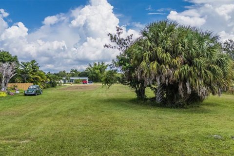 Terrain à vendre à Punta Gorda, Floride № 1355786 - photo 5