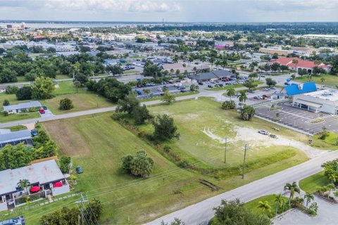 Land in Punta Gorda, Florida № 1355786 - photo 25