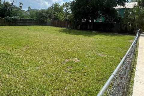 Land in Tampa, Florida № 1295588 - photo 6