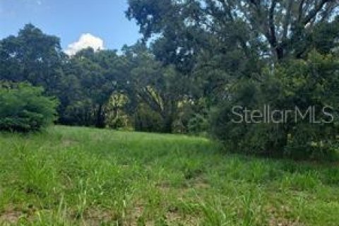 Terreno en venta en Clermont, Florida № 1277625 - foto 2