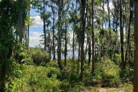 Terreno en venta en Clermont, Florida № 1277625 - foto 3