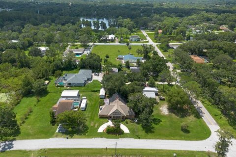 House in Lutz, Florida 4 bedrooms, 201.78 sq.m. № 1347157 - photo 6