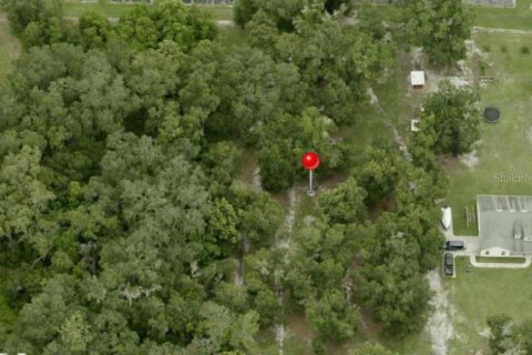 Terreno en venta en Plant City, Florida № 1389473 - foto 1