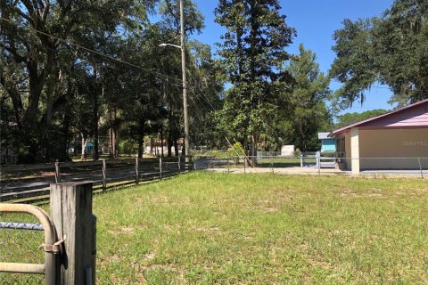 Terreno en venta en Gainesville, Florida № 1333852 - foto 2