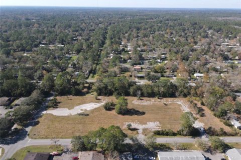 Terreno en venta en Gainesville, Florida № 1333850 - foto 8