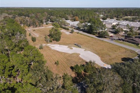 Terreno en venta en Gainesville, Florida № 1333850 - foto 5