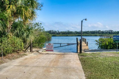 Terreno en venta en Edgewater, Florida № 1334811 - foto 5