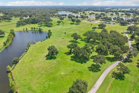 Land in Summerfield, Florida № 1334812 - photo 27