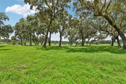 Land in Summerfield, Florida № 1334812 - photo 20