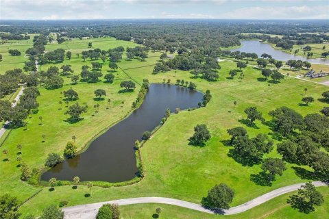 Land in Summerfield, Florida № 1334812 - photo 25