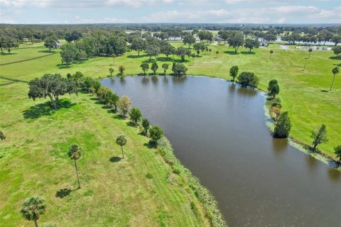 Land in Summerfield, Florida № 1334812 - photo 23