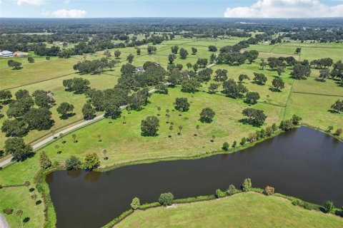 Land in Summerfield, Florida № 1334812 - photo 14