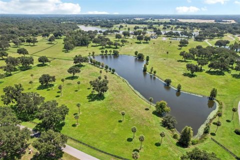 Terreno en venta en Summerfield, Florida № 1334812 - foto 11