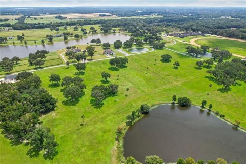 Terreno en venta en Summerfield, Florida № 1334812 - foto 29