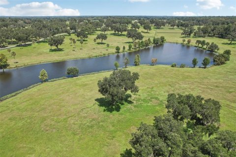 Terreno en venta en Summerfield, Florida № 1334812 - foto 13