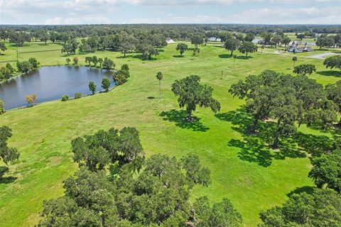 Land in Summerfield, Florida № 1334812 - photo 24