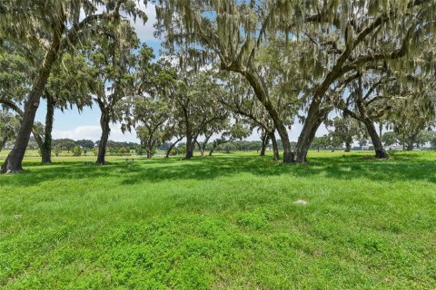 Land in Summerfield, Florida № 1334812 - photo 21