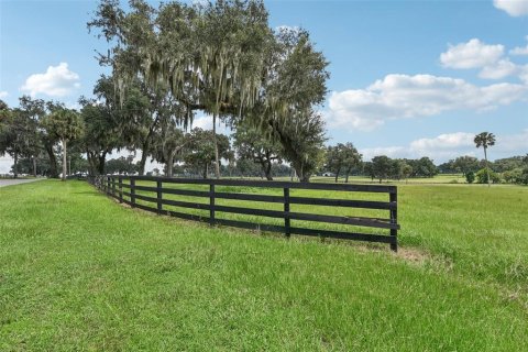 Terreno en venta en Summerfield, Florida № 1334812 - foto 7