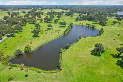 Terreno en venta en Summerfield, Florida № 1334812 - foto 26