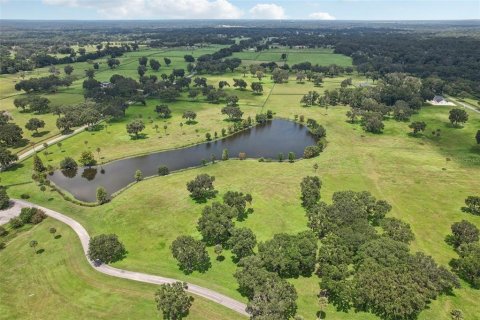 Land in Summerfield, Florida № 1334812 - photo 15