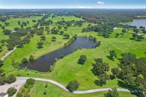 Land in Summerfield, Florida № 1334812 - photo 1