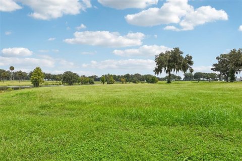 Land in Summerfield, Florida № 1334812 - photo 19