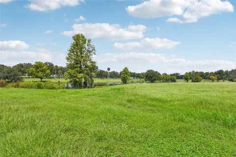 Land in Summerfield, Florida № 1334812 - photo 18